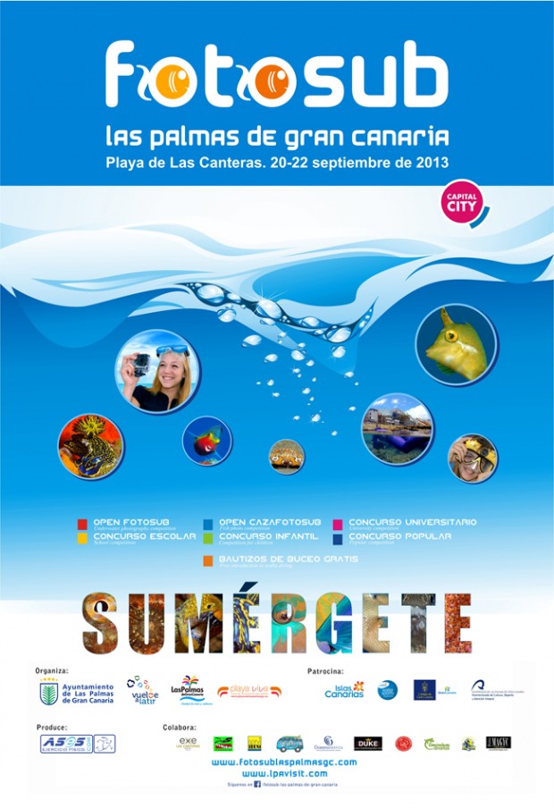 cartelfotosublpgc2013