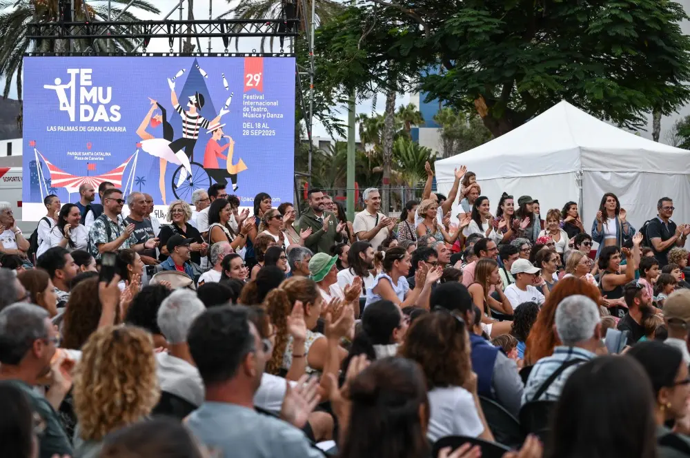 temudas las palmas